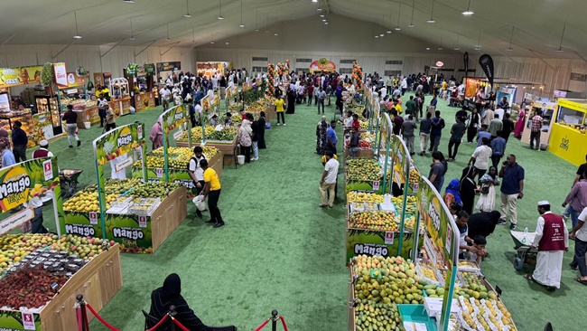 Mango Fair: Glory of the king of fruits in Qatar